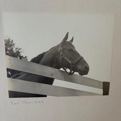 Sale Photo Thumbnail #61