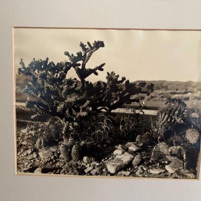 Sale Photo Thumbnail #74
