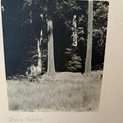 Sale Photo Thumbnail #59