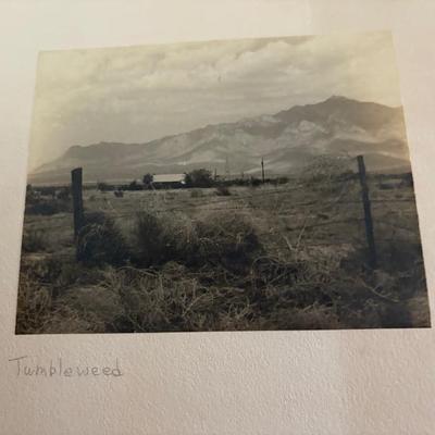 Sale Photo Thumbnail #75