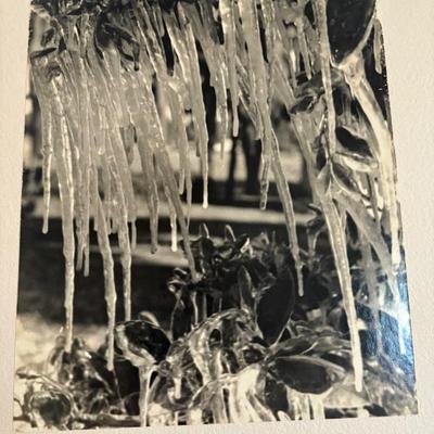Sale Photo Thumbnail #62