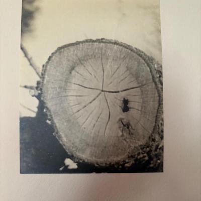 Sale Photo Thumbnail #71