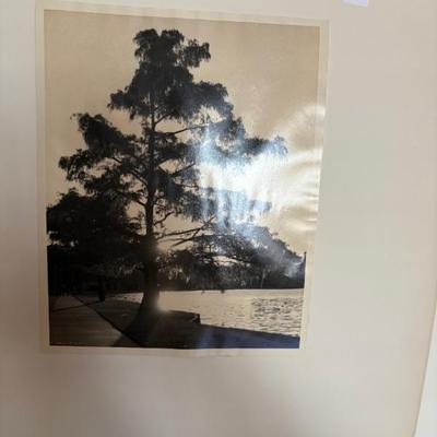 Sale Photo Thumbnail #54