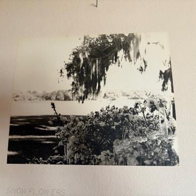 Sale Photo Thumbnail #64