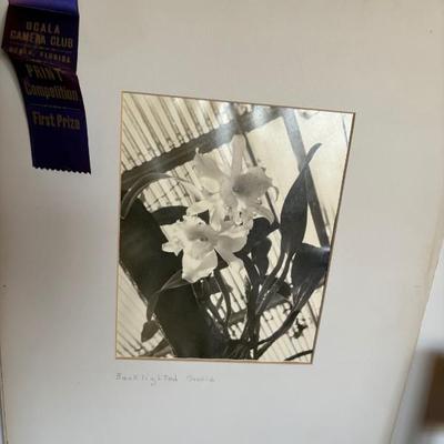 Sale Photo Thumbnail #50