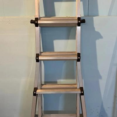 Cosco Multi-Use Ladder 
