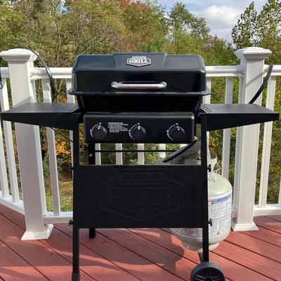 Expert Grill with Cover