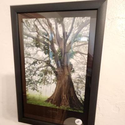 Sale Photo Thumbnail #28
