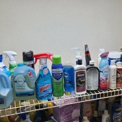 33pc Household Cleaming Supplies & Chemicals 