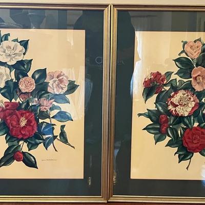Attributed to Jean Rathborne-2 x Floral Framed Prints - Camellia Blooms Collection