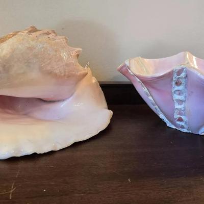 Pink Conch Shell & Conch Shell Handmade Bowl
