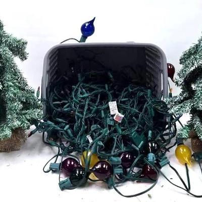 Frosted Christmas Trees and Lights