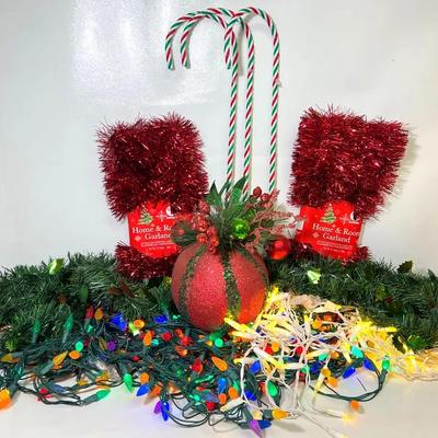 Collection of Christmas Lights & More!