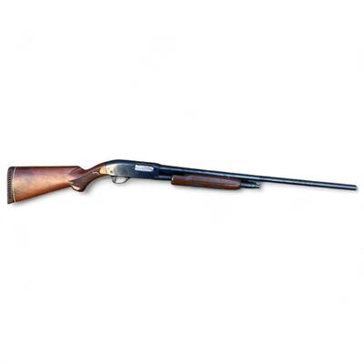 Gun