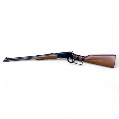 Gun