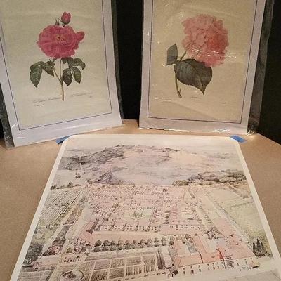 3 Prints: 2 Floral & Chartreuse DeVilleneuve