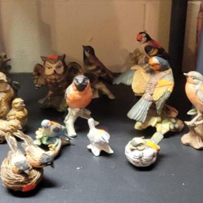 Sale Photo Thumbnail #146: More Birds - Tweet Tweet 