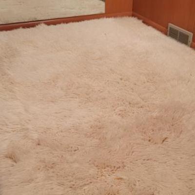 Sale Photo Thumbnail #88: Shag Rug 