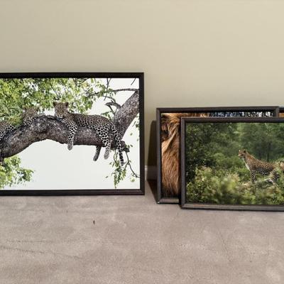 Sale Photo Thumbnail #21