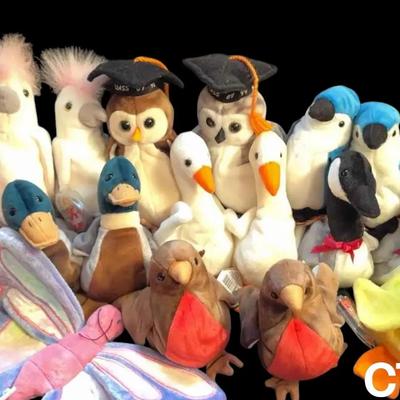 CV513 - Vintage TY Beanie Babies, Bird Group