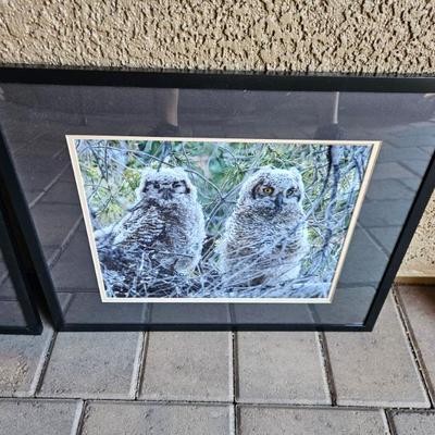 Sale Photo Thumbnail #53