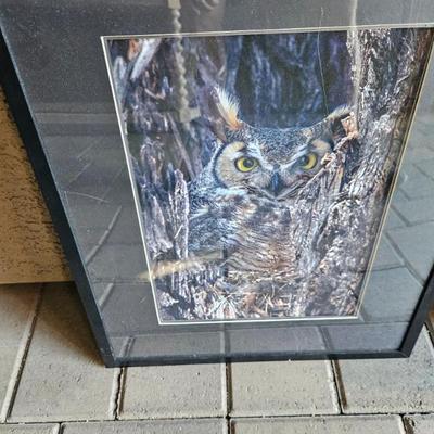 Sale Photo Thumbnail #51