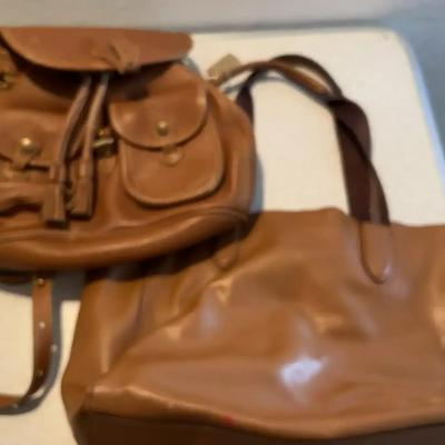 Light Brown Coach & Dooney & Burke Duo - Backpack Purse And Large Tote