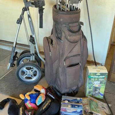Go Golfing - TaylorMade Pinseeker Golf Clubs w Bag, Push Cart, Cooler, Rain Hood & Cleaning Kit