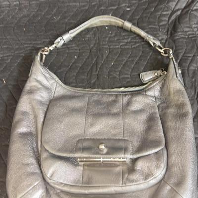Coach Leather Purse Hobo Bag Shoulder Crossbody Metallic