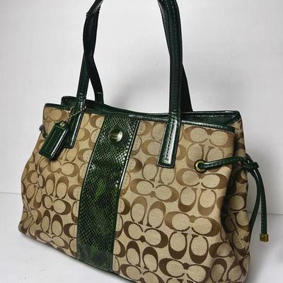 Coach Signature Python Stripe Tote Bag 