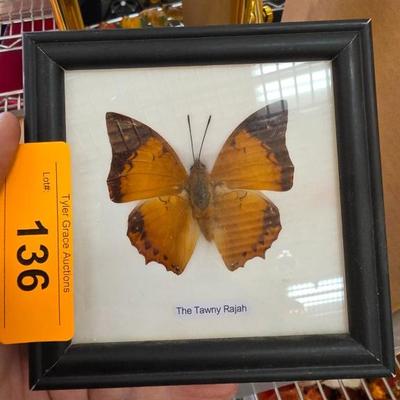 Sale Photo Thumbnail #185
