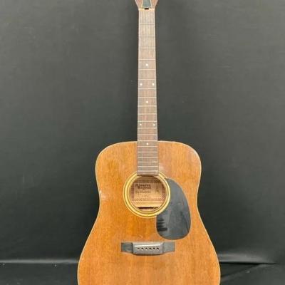 Alvarez Regent Six String