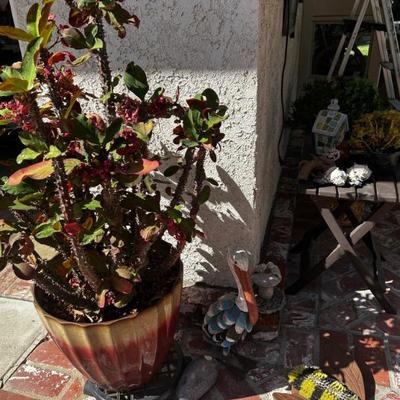 Sale Photo Thumbnail #46