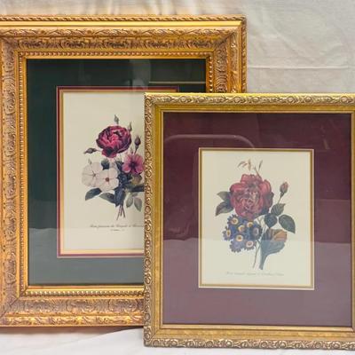 Redouté Botanical Prints in Ornate Gold Frames