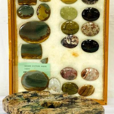 Owyhee Picture Agate 