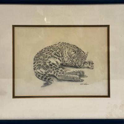 Rob Wilson- Leopard Drawing