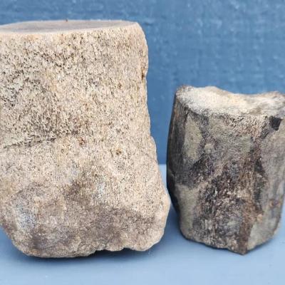 Two Fossilized Bone Fragments – Natural Textured Specimens
