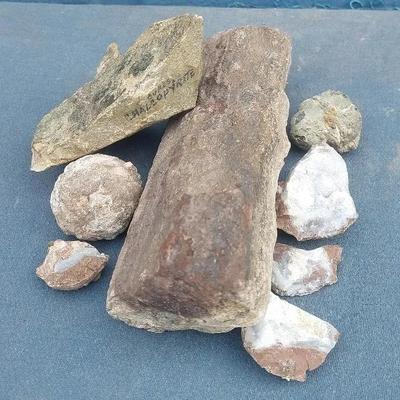 Rocks and Minerals – Chalcopyrite & Petrified Wood
