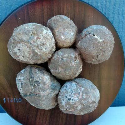 Fossilized Dinosaur Eggs – Hadrosaur Nest Display, Jurassic Period
