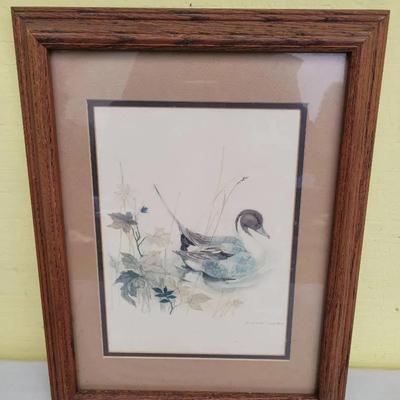 Vintage Framed Watercolor Lithograph Waterfowl Northern Pintail Duck Signed by Mads Stage