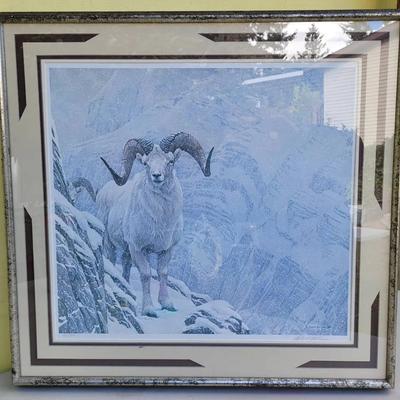 Robert Bateman "White World" - Dall Sheep Signed Print 201/950
