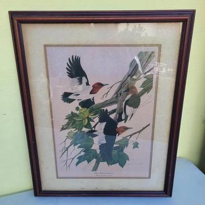 Rare John Ruthven Signed Wildlife Lithograph "Red Headed Woodpeckers" 951/1000