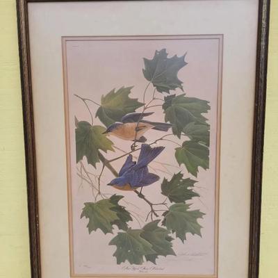 John A. Ruthven "New York State Bluebird" Limited Edition - 836/1000 - Signed