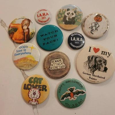 Assorted Vintage Pins
