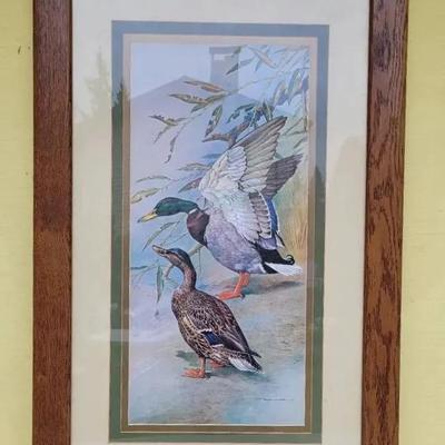 Mallards 1967
Basil Rashley Ede