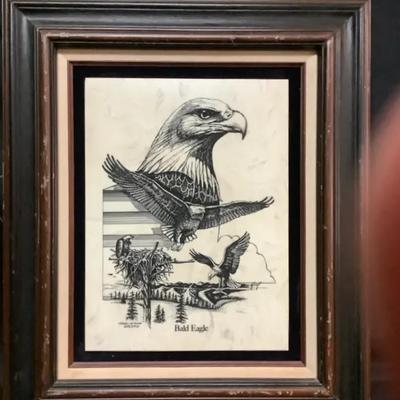 Bald Eagle