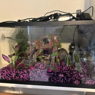 Complete Freshwater Aquarium Setup with Star Wars-Themed Decor