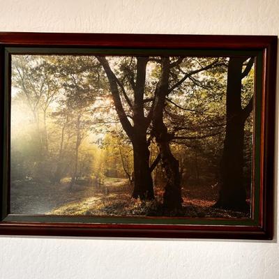 Sale Photo Thumbnail #84