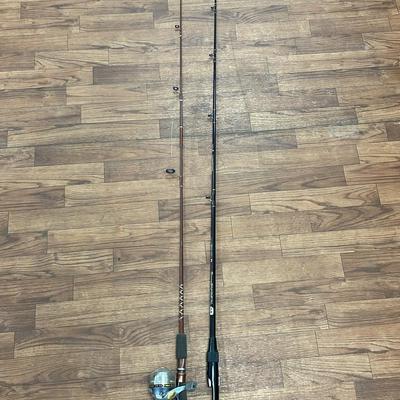 1 Lews Tournament Grade Fishing Pole & Fishing Pole with Synergy Reel 