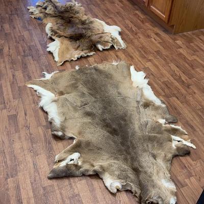 Two Deer Hides
